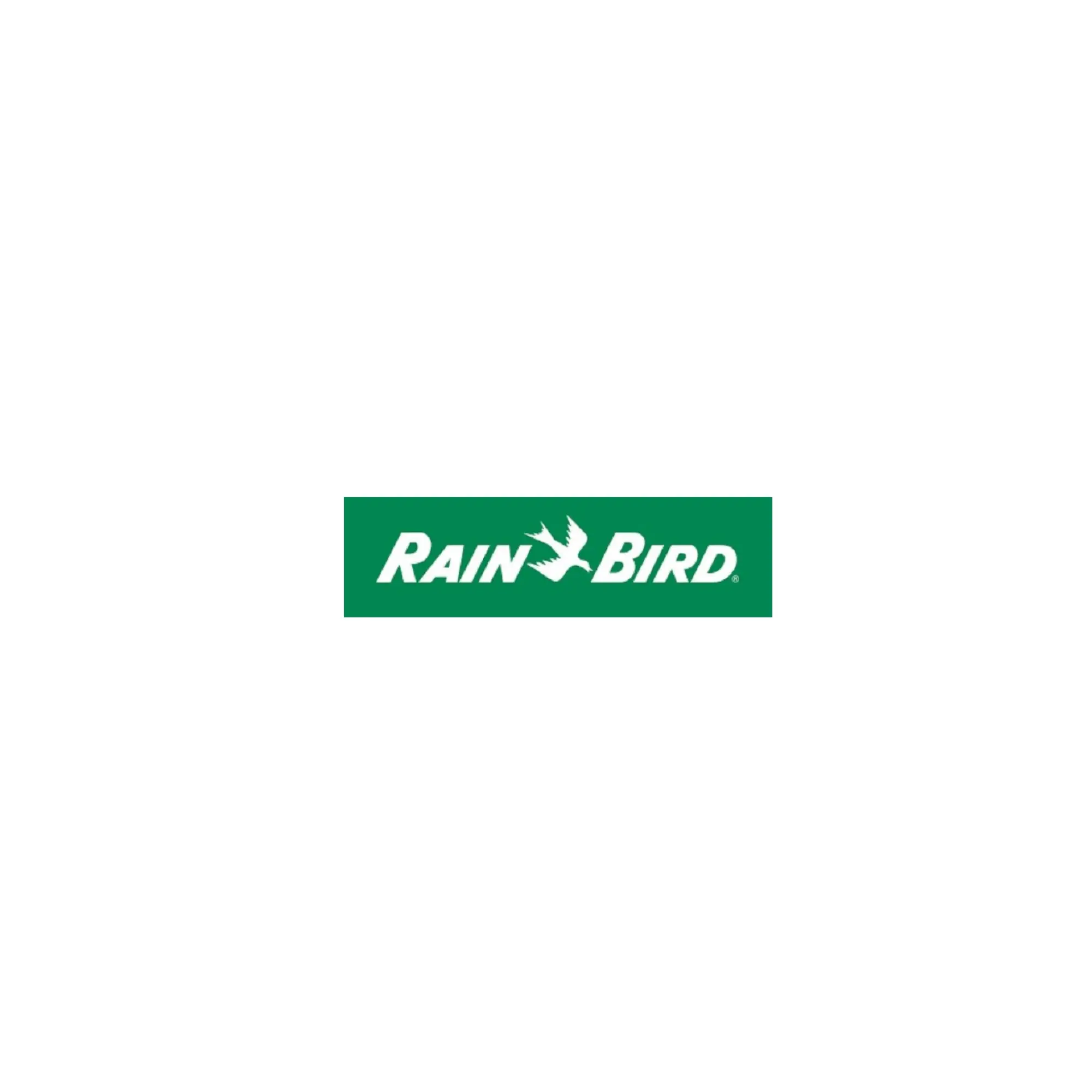 rain bird